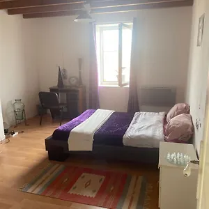 Séjour chez l'habitant Violette Cote Aeroport Calme Charmante, Pusignan